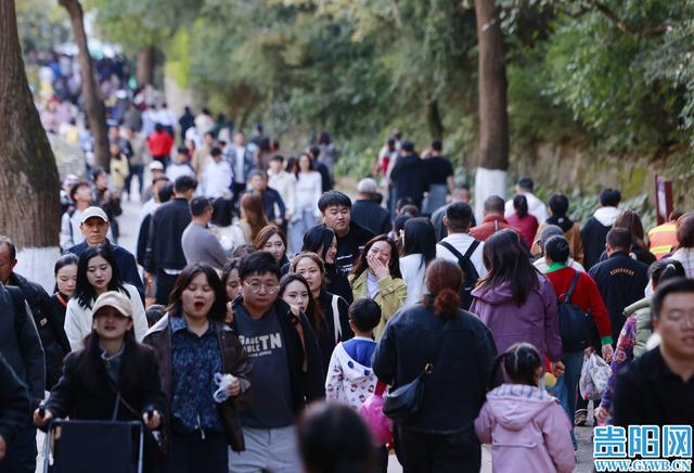 黔灵山公园冬日迎游客热潮