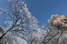 要想强大，就要学会目中无人图片