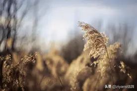 满满都是遗憾的句子图片