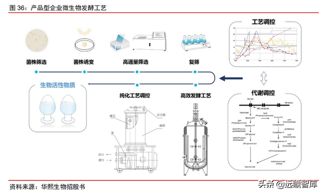 颠覆传统，合成生物：迎来历史发展机遇，乘势而起，引领未来