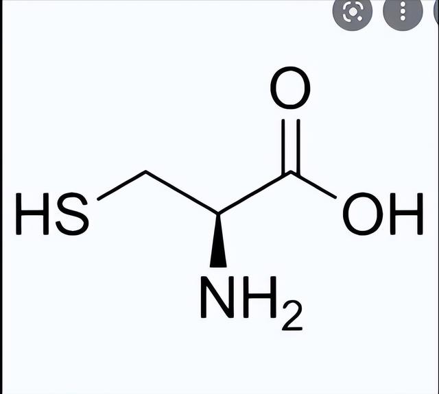 为什么老了就变黑、变黄？什么东西能去掉黑色素，让皮肤变白
