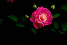 一个女人爱不爱你，看她的身体“本能反应”就知道了，错不了图片