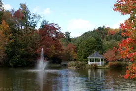 十月，愿我们在最美秋色里过自己喜欢的生活，不负当下，不负未来图片