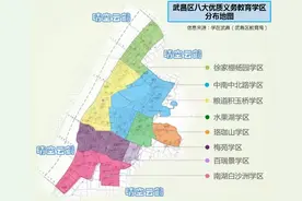 武汉学区系列41：武昌区八大义务教育学区和小学初中对口划片范围图片