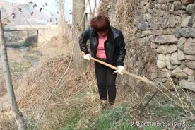 邢台市信都区：健康生活从“菜”做起图片