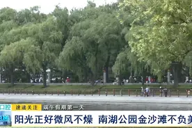 端午假期第一天：阳光正好微风不燥 南湖公园金沙滩不负美好图片