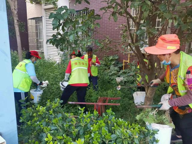 东湖新技术开辟区豹澥街分类专班黄金堂社区开展清洁家园活动