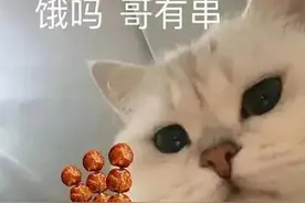 可爱表情包 | 饿吗？我有串串图片