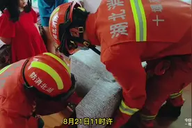 湖北十堰：围观！男孩头卡按摩床图片