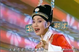 春晚上的黄梅戏图片