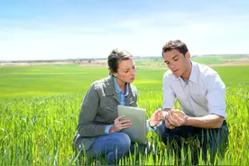 安徽粮补试点表明：实行粮补三合一改革，种粮农民得到更多实惠图片