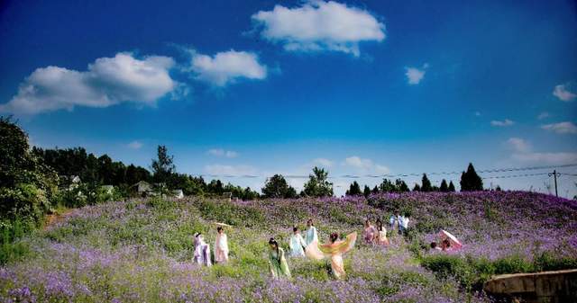 四川省民生研究会新媒体中心-官网