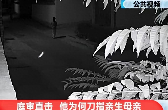 母子乱伦20多年，男子为了结婚，将自己70岁的母亲残忍杀害!