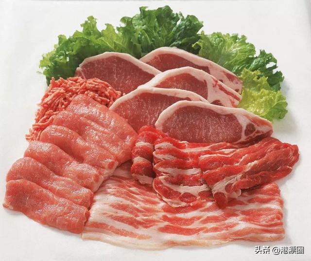 花胶是海关禁运么 2026年花胶能过海关吗