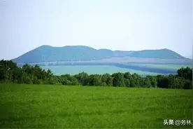 广西壮族自治区林业局关于提高公益林和天然林补助方面的建议答复图片