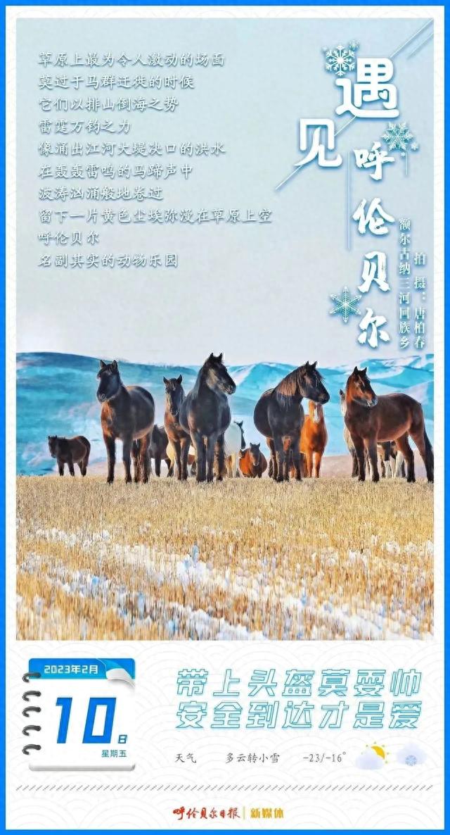 中行 信用卡 app，中国银行呼伦贝尔分行电话 配图07