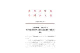 《中国少年先锋队标志礼仪基本规范》图片