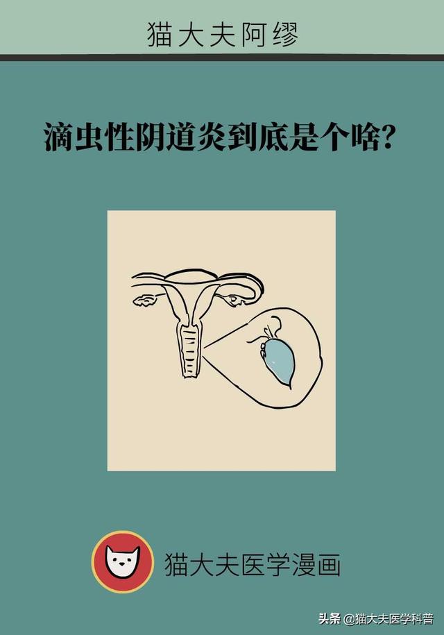 滴虫性阴道炎用舒洁宁效果怎么样?（滴虫性阴道炎是很严重的妇科病吗会不会传染）