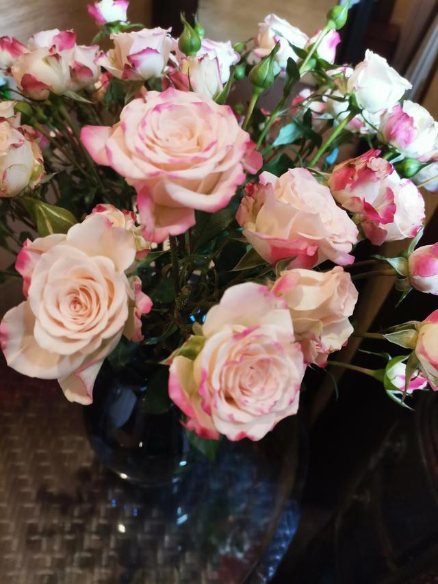 永恒的爱—粉色玫瑰花语