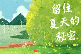 留住夏天的秘密，藏在凉之沁的风里图片