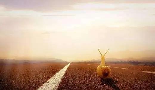 你玩过大冒险吗？