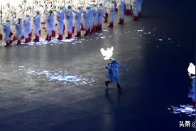 “一鸽都不能少”的温馨一幕，让岛内分裂分子“玻璃心”碎一地图片