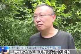 重庆动物园：北领角鸮等一批国家二级保护动物放归自然图片