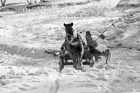 民间故事：大爷赶大车夜归，被黑袍子追着不放，他挥起了马鞭子图片