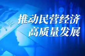 推动民营经济高质量发展 | 深耕光伏产业 助力吉林发展——松原市新能光伏科技有限公司推进创新发展纪实图片