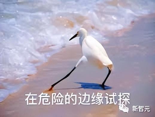 cf同人h小说（阅尽1000万部AO3小黄文）