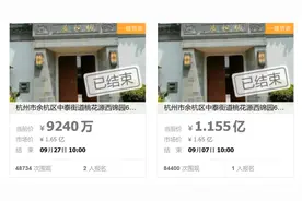 浙江杭州“最贵法拍房”1.33亿元成交，业主曾斥资7000多万装修图片