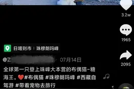 被弃养的猫在无人区沙漠绝地求生，网友：它是怎么活下来的...图片