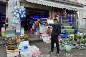 10块钱一条！昆明一男子当街售卖国家二级保护动物中国瘰螈被抓获图片