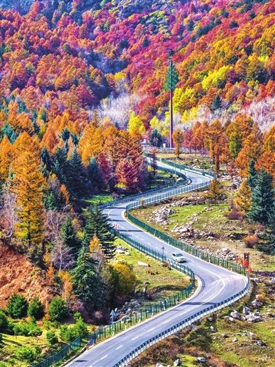 并州秋景胜春朝