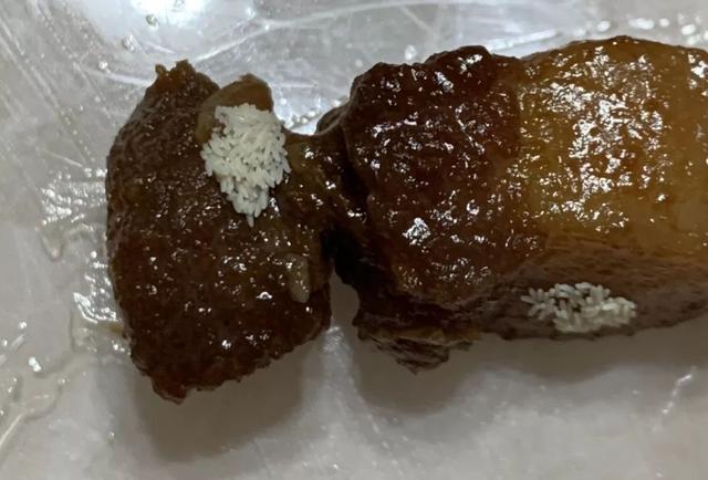 苍蝇怎么变出来的？解析苍蝇产生的过程，并附上苍蝇灭杀一二法！