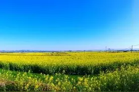 妻子把老公当外人的十种表现图片