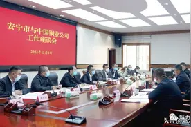 安宁市与中国铜业公司召开工作座谈会图片