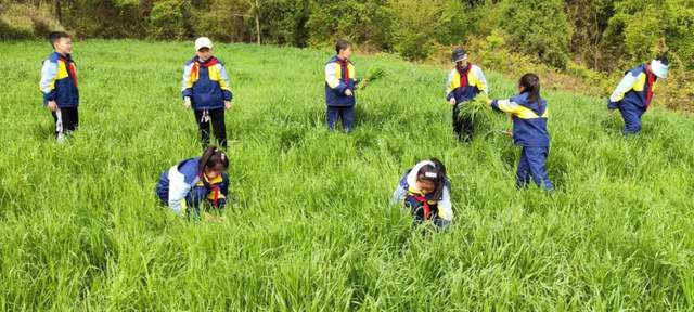 四川省民生研究会新媒体中心-官网