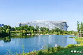 随笔 | 及时雨，及时的雨图片