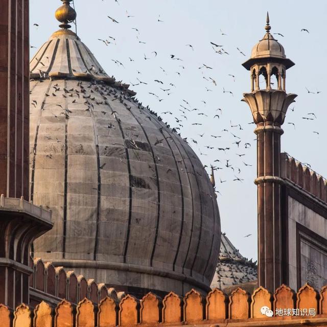 印度首都，扩张太快了 | 地球知识局