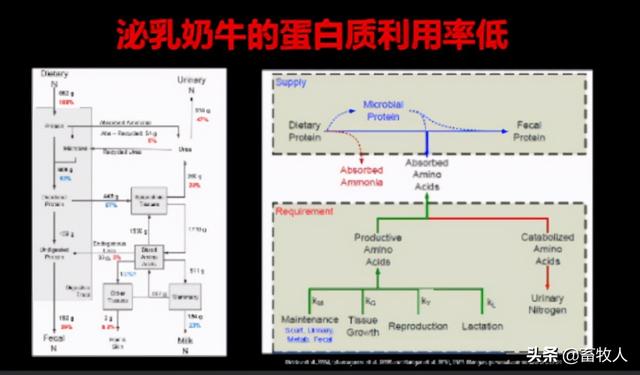 銆屽涔犵瑪璁般€嶅崪鐧绘攢鐮旂┒鍛橈細杩囩槫鑳冩皑鍩洪吀鐢熺墿鍒╃敤鐜囪瘎浠蜂笌鍒╃敤