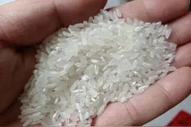 大米中间的这一处迹象，你是否有注意到？可别小瞧它图片