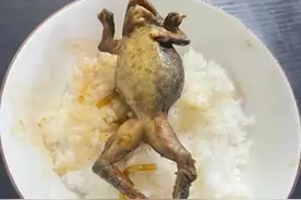 东北人爱吃的4大“怪菜”，很多人不敢尝试！你能吃得下口吗？图片