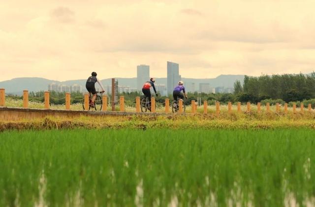 环滇骑行第一站，为什么选择呈贡江尾？邂逅滇池畔的田园诗！