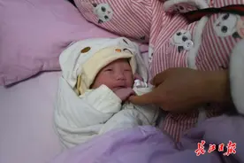 “虎宝宝”来报道了！不少是“二宝”图片