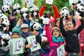 我国熊猫到了国外之后，究竟有多受欢迎？熊猫：我为国家赚航母钱图片