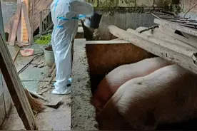 新技能，解锁→图片