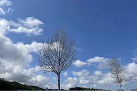 “我最大的愿望就是想娶个媳妇”，一个农村大龄未婚男的终极渴望图片