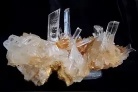 「干货」1分钟认识石膏图片