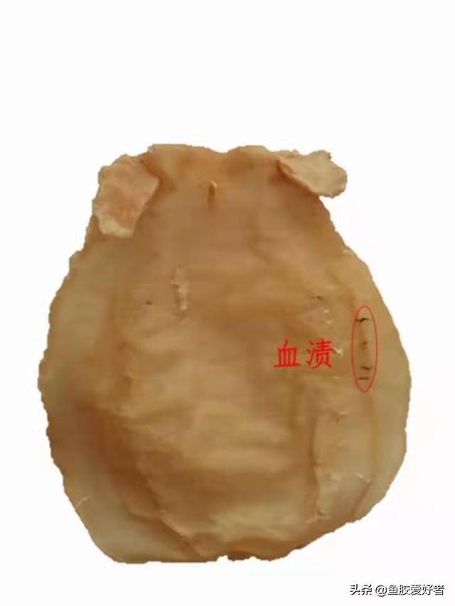 花胶上面好多红色 2025年花胶有红点